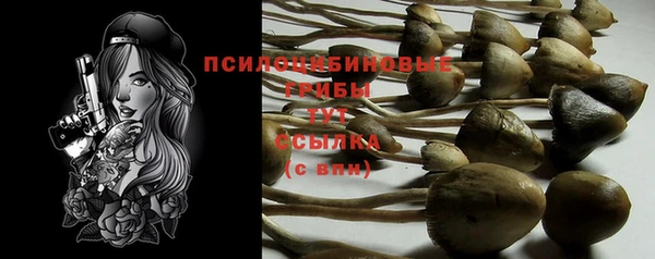 таблы Бородино