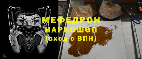 индика Богородск