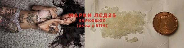 таблы Бородино