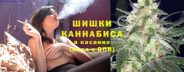 таблы Бородино