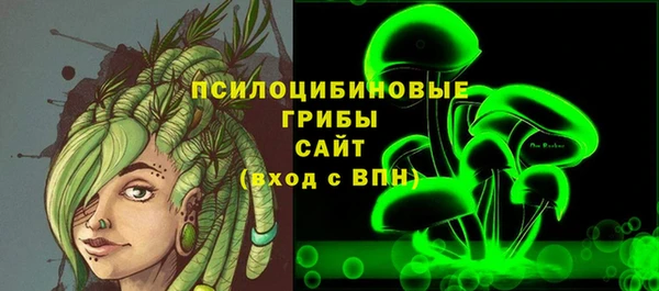 молекула духа Бугульма