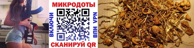 купить  сайты  Данков  Псилоцибиновые грибы прущие грибы 