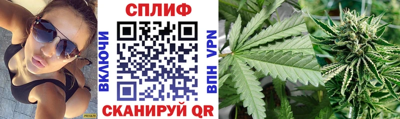 МАРИХУАНА Ganja  Данков 